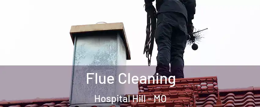 Flue Cleaning Hospital Hill - MO