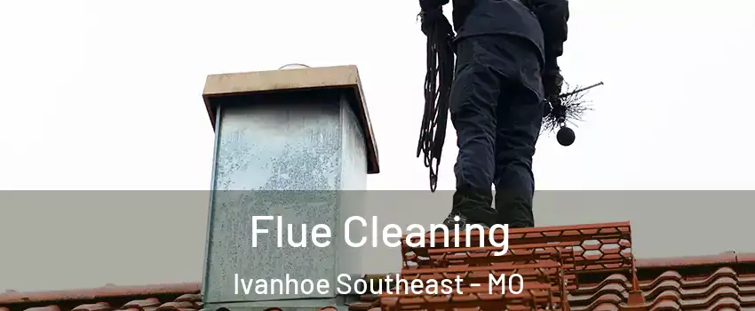 Flue Cleaning Ivanhoe Southeast - MO