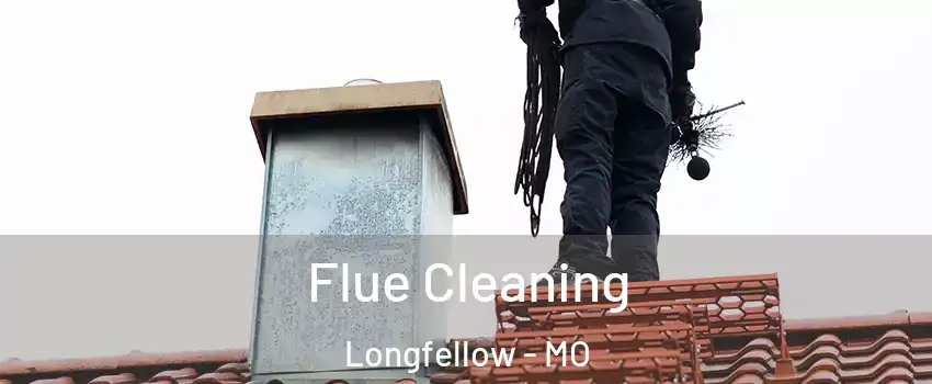 Flue Cleaning Longfellow - MO