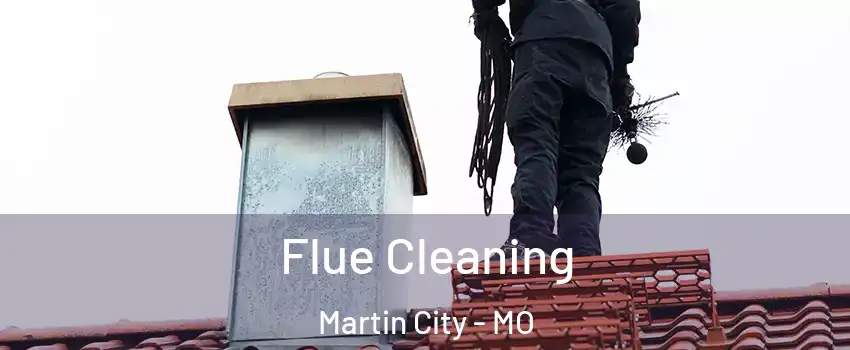 Flue Cleaning Martin City - MO