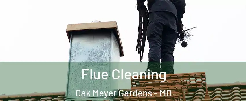 Flue Cleaning Oak Meyer Gardens - MO