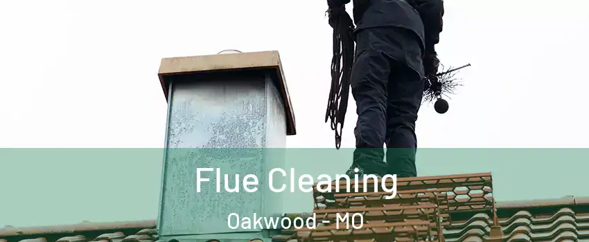 Flue Cleaning Oakwood - MO