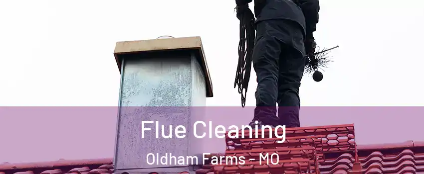 Flue Cleaning Oldham Farms - MO