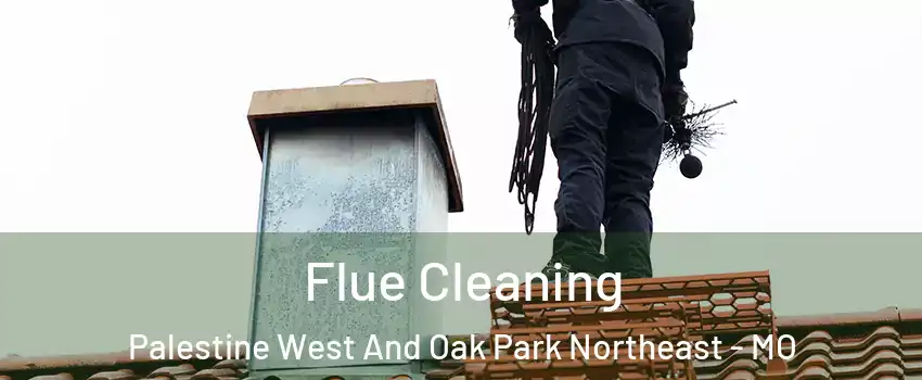 Flue Cleaning Palestine West And Oak Park Northeast - MO