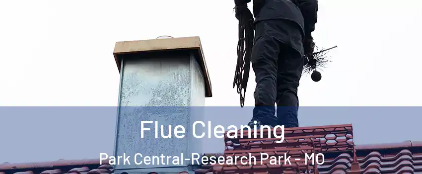 Flue Cleaning Park Central-Research Park - MO