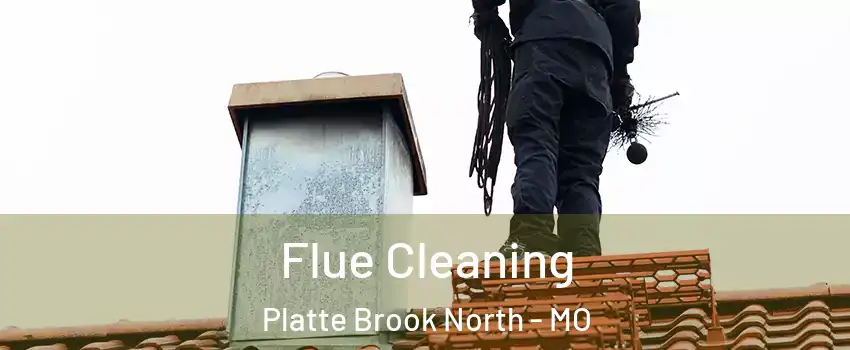 Flue Cleaning Platte Brook North - MO