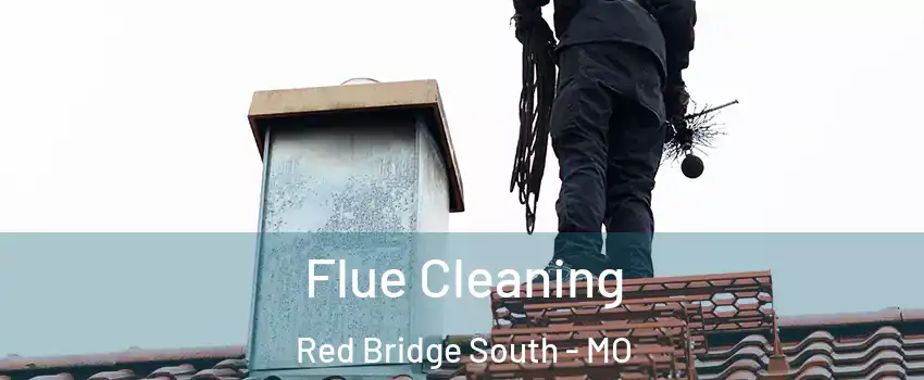 Flue Cleaning Red Bridge South - MO