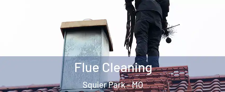 Flue Cleaning Squier Park - MO