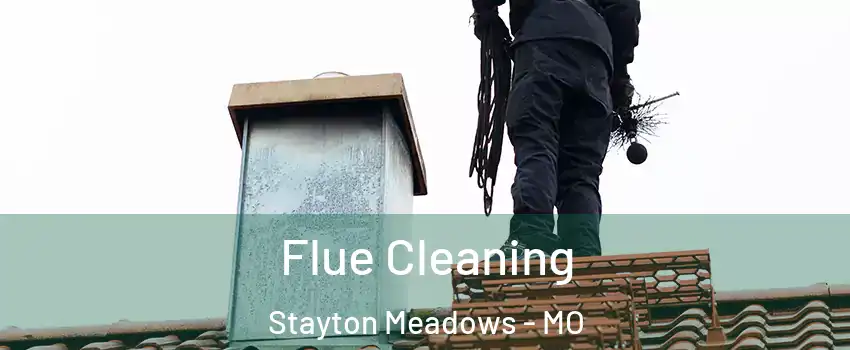 Flue Cleaning Stayton Meadows - MO