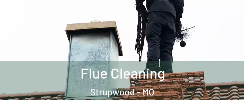 Flue Cleaning Strupwood - MO