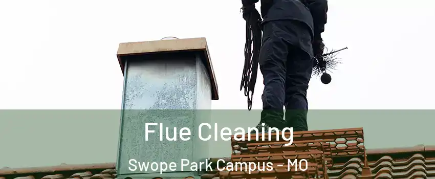 Flue Cleaning Swope Park Campus - MO