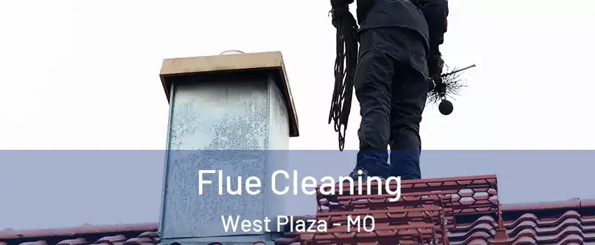 Flue Cleaning West Plaza - MO