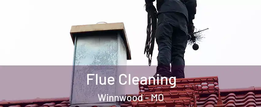 Flue Cleaning Winnwood - MO