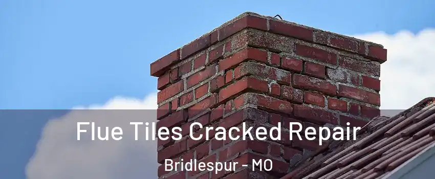 Flue Tiles Cracked Repair Bridlespur - MO