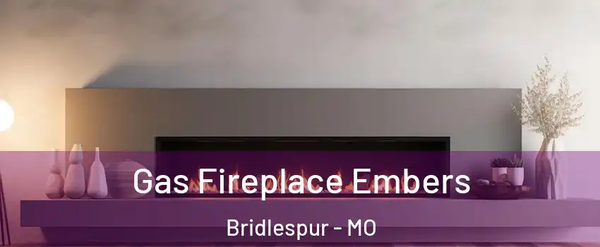 Gas Fireplace Embers Bridlespur - MO