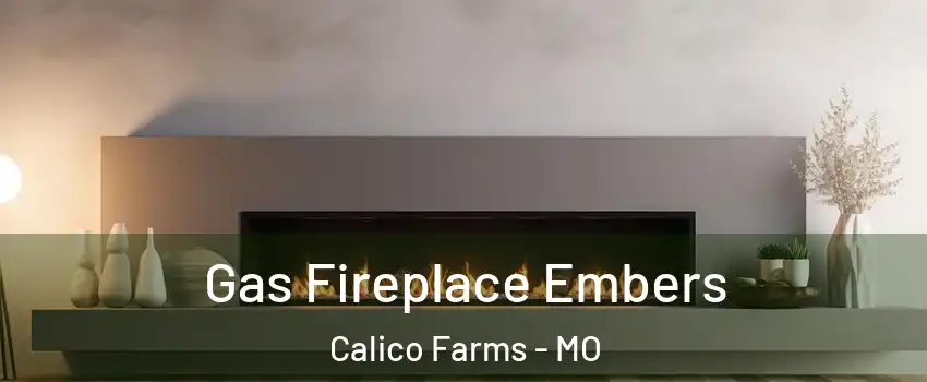 Gas Fireplace Embers Calico Farms - MO