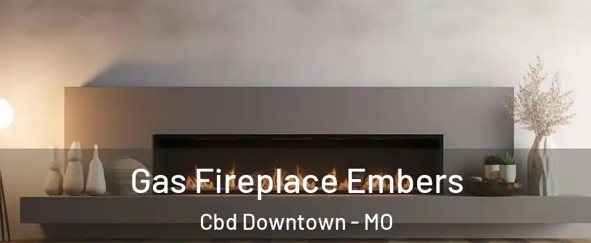 Gas Fireplace Embers Cbd Downtown - MO