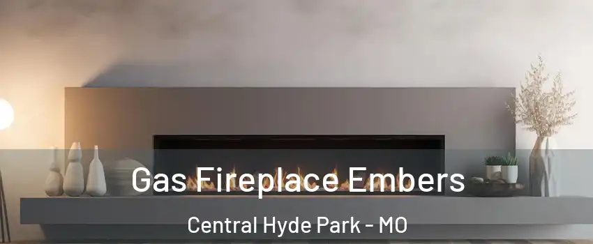 Gas Fireplace Embers Central Hyde Park - MO