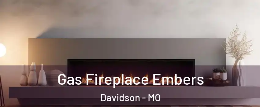 Gas Fireplace Embers Davidson - MO