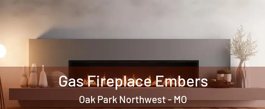 Gas Fireplace Embers Oak Park Northwest - MO