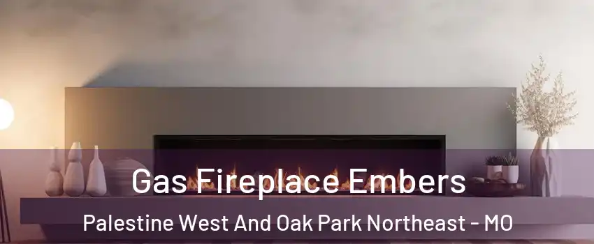 Gas Fireplace Embers Palestine West And Oak Park Northeast - MO