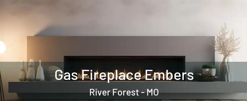 Gas Fireplace Embers River Forest - MO