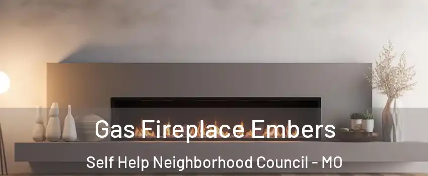 Gas Fireplace Embers Self Help Neighborhood Council - MO