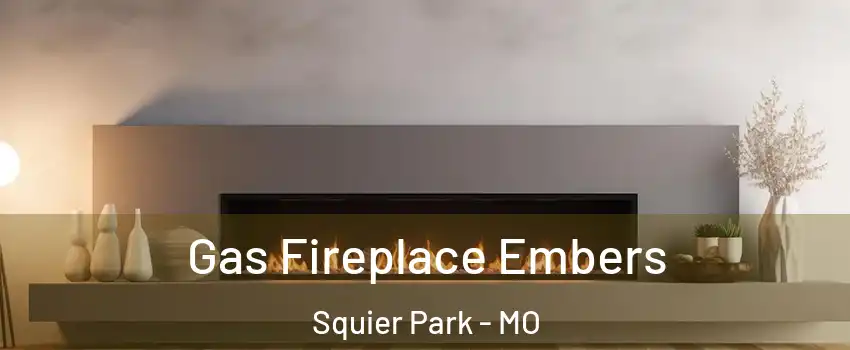 Gas Fireplace Embers Squier Park - MO