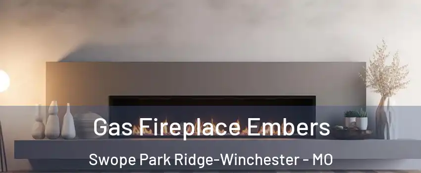 Gas Fireplace Embers Swope Park Ridge-Winchester - MO