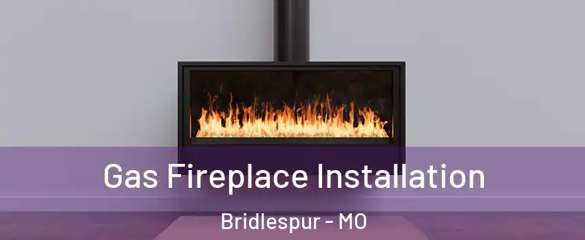 Gas Fireplace Installation Bridlespur - MO