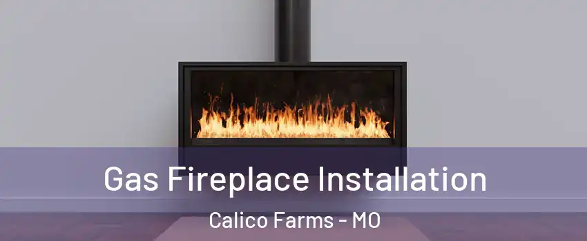 Gas Fireplace Installation Calico Farms - MO