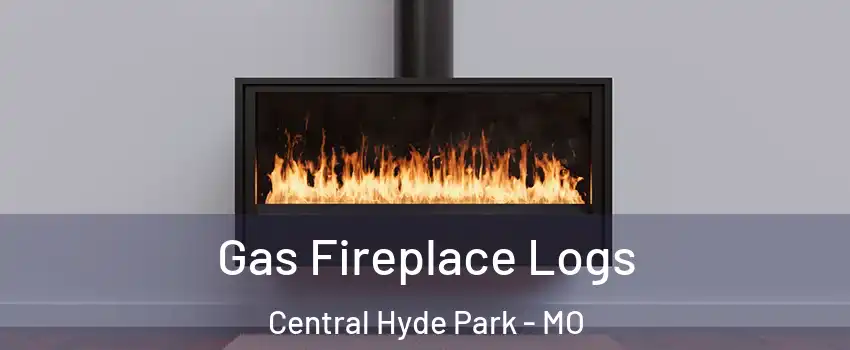 Gas Fireplace Logs Central Hyde Park - MO