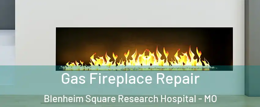 Gas Fireplace Repair Blenheim Square Research Hospital - MO