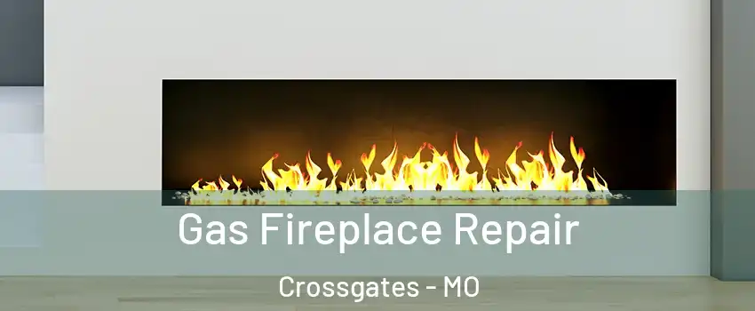 Gas Fireplace Repair Crossgates - MO