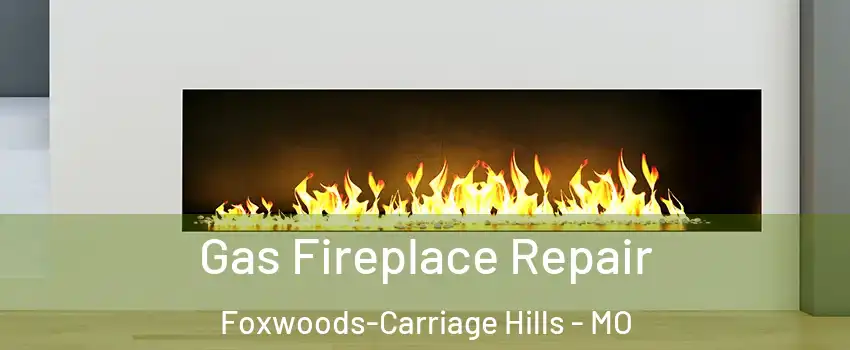 Gas Fireplace Repair Foxwoods-Carriage Hills - MO