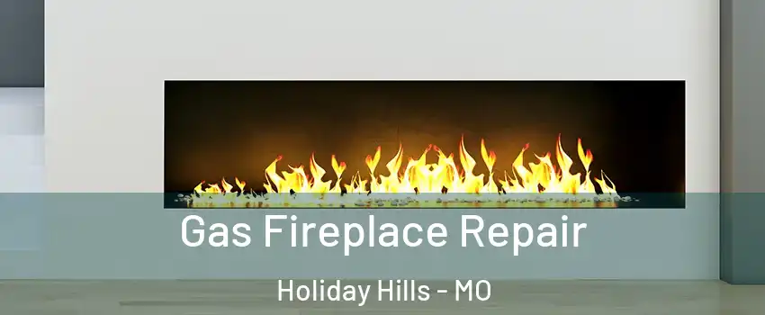 Gas Fireplace Repair Holiday Hills - MO