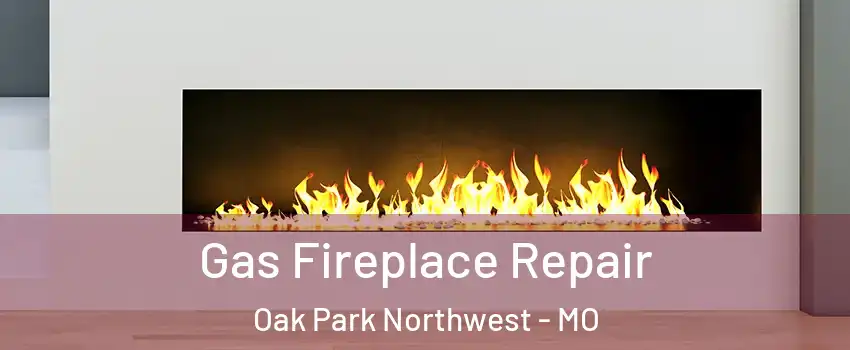 Gas Fireplace Repair Oak Park Northwest - MO