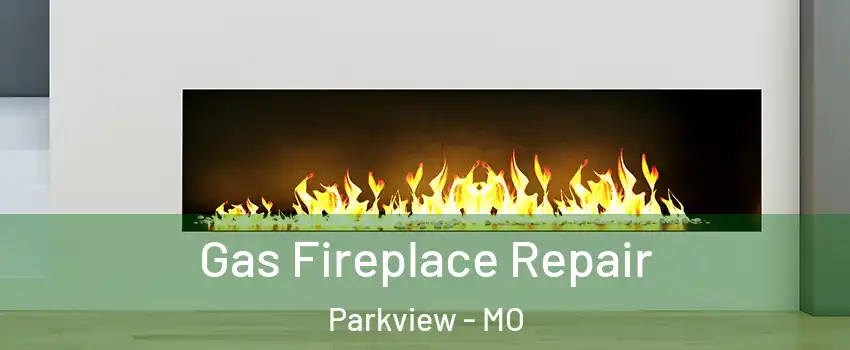 Gas Fireplace Repair Parkview - MO