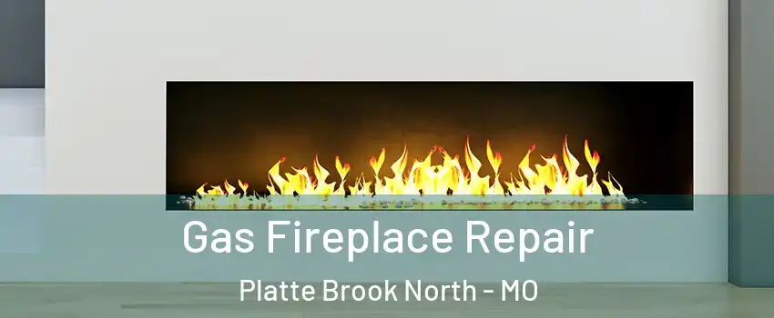 Gas Fireplace Repair Platte Brook North - MO