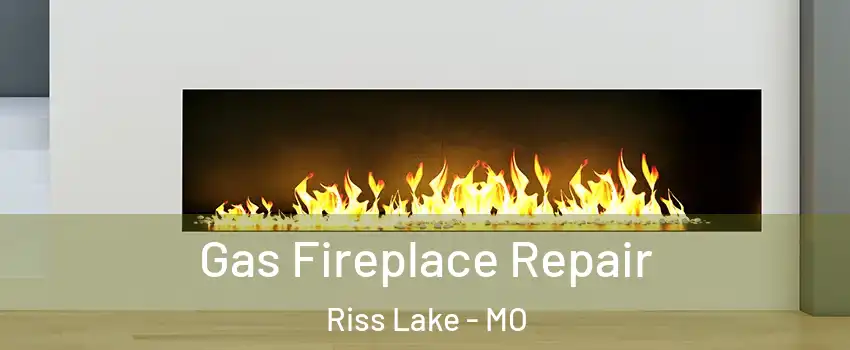 Gas Fireplace Repair Riss Lake - MO