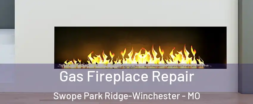 Gas Fireplace Repair Swope Park Ridge-Winchester - MO