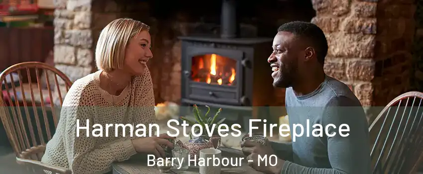 Harman Stoves Fireplace Barry Harbour - MO