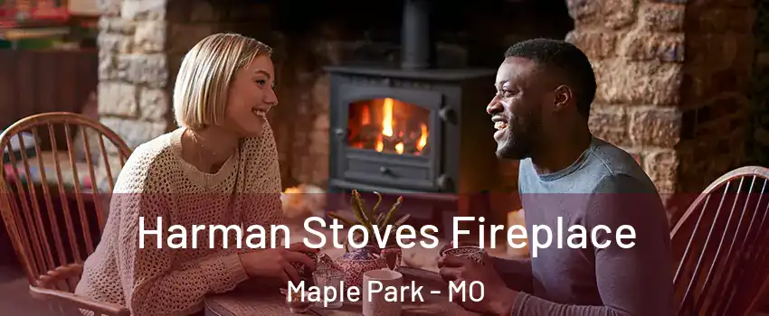 Harman Stoves Fireplace Maple Park - MO