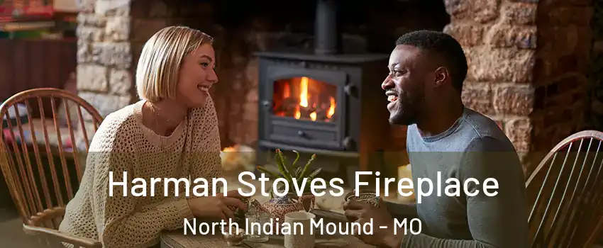 Harman Stoves Fireplace North Indian Mound - MO