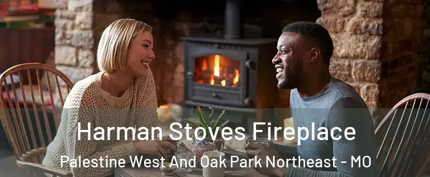 Harman Stoves Fireplace Palestine West And Oak Park Northeast - MO