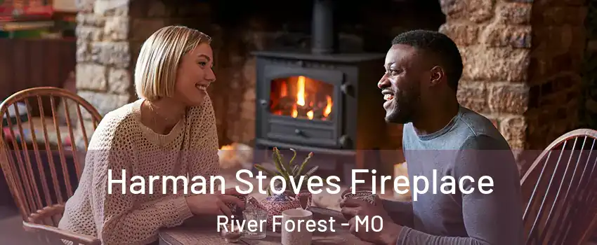 Harman Stoves Fireplace River Forest - MO