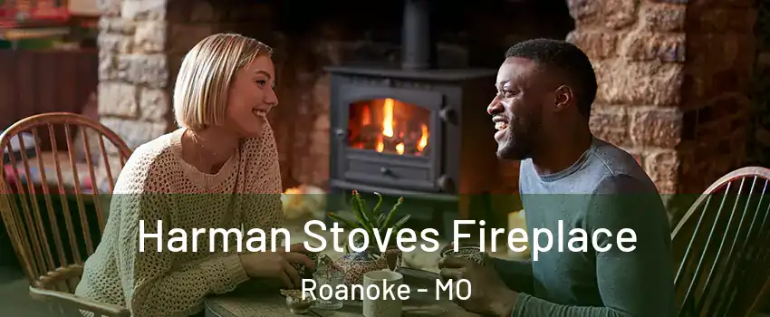 Harman Stoves Fireplace Roanoke - MO