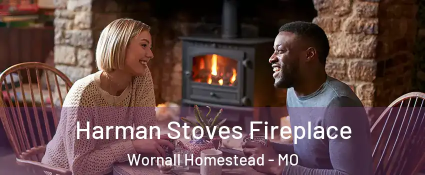 Harman Stoves Fireplace Wornall Homestead - MO