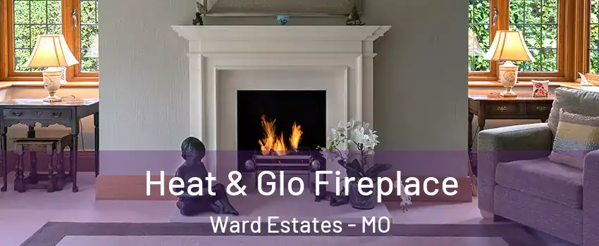 Heat & Glo Fireplace Ward Estates - MO