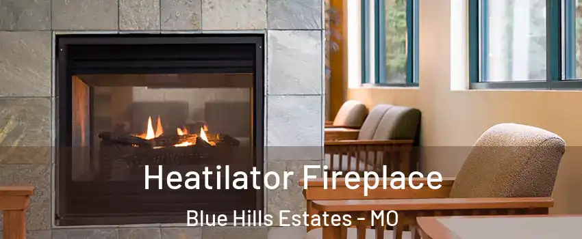 Heatilator Fireplace Blue Hills Estates - MO